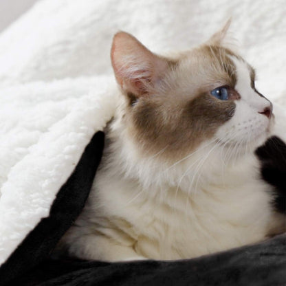 Cozy Black Fleece Sherpa Throw Blanket - Thick & Warm for Winter & Christmas - 50x60 Inches